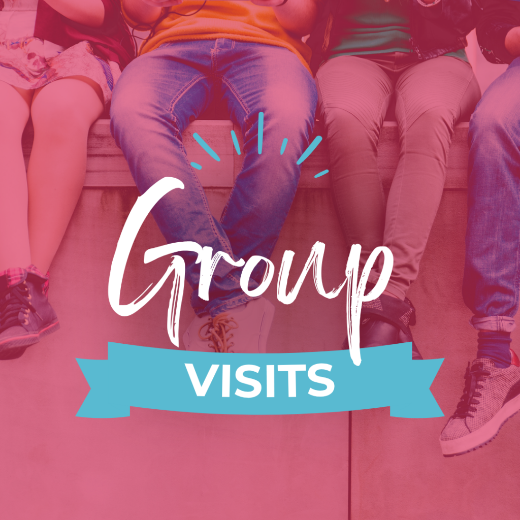 Group Visits