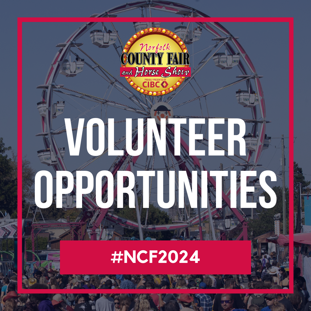 Volunteer Opportunities