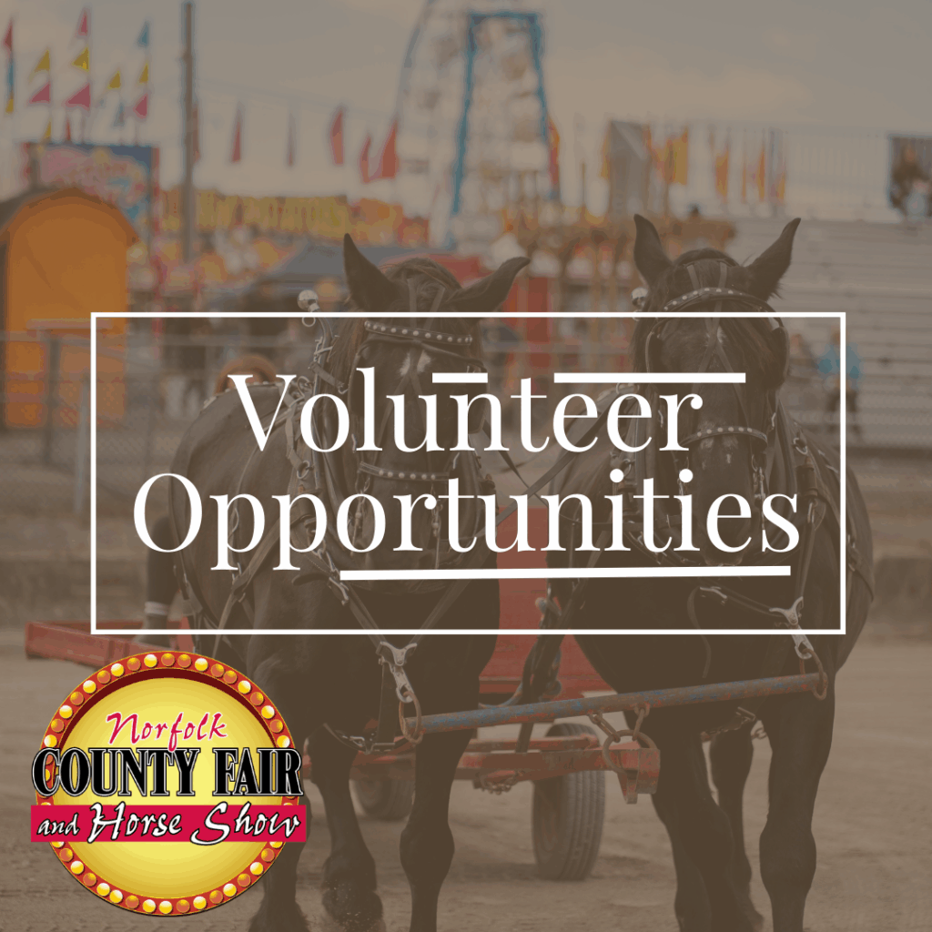 Volunteer Opportunities