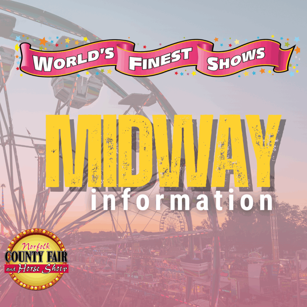 midway WEBSITE TILE