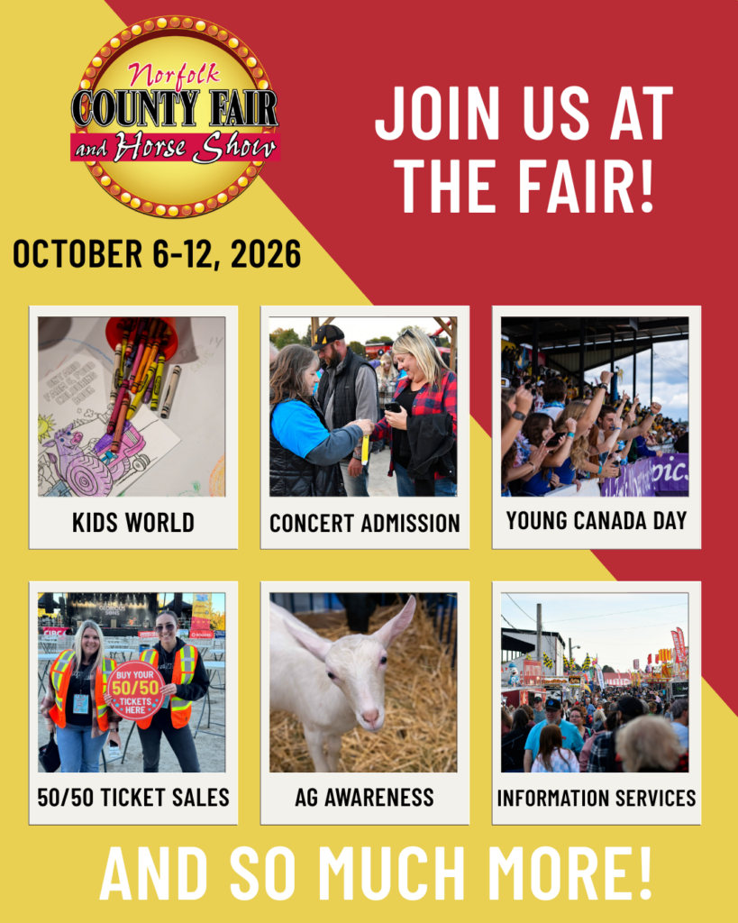 COME VOLUNTEER AT THE FAIR!